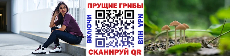 где найти наркотики  Екатеринбург  Псилоцибиновые грибы ЛСД 